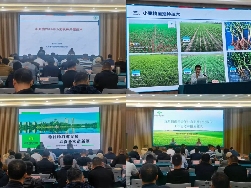 市供銷社舉辦全市供銷系統農業社會化服務暨“三秋”農業生產技術培訓班