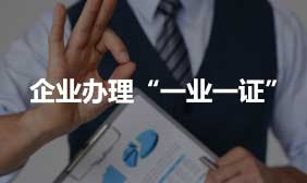 企業辦理“一業一證”