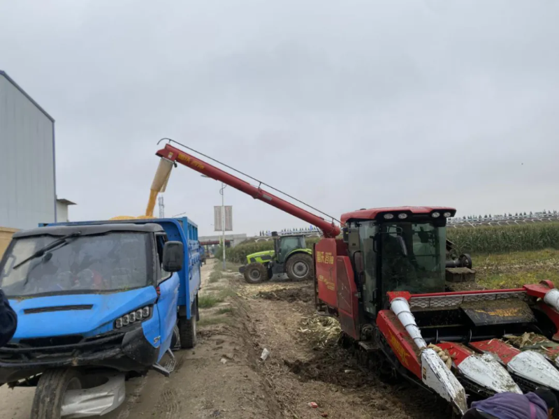 市供銷社：多措并舉破解陰雨秋收難題 全力守護“三秋”糧食安全